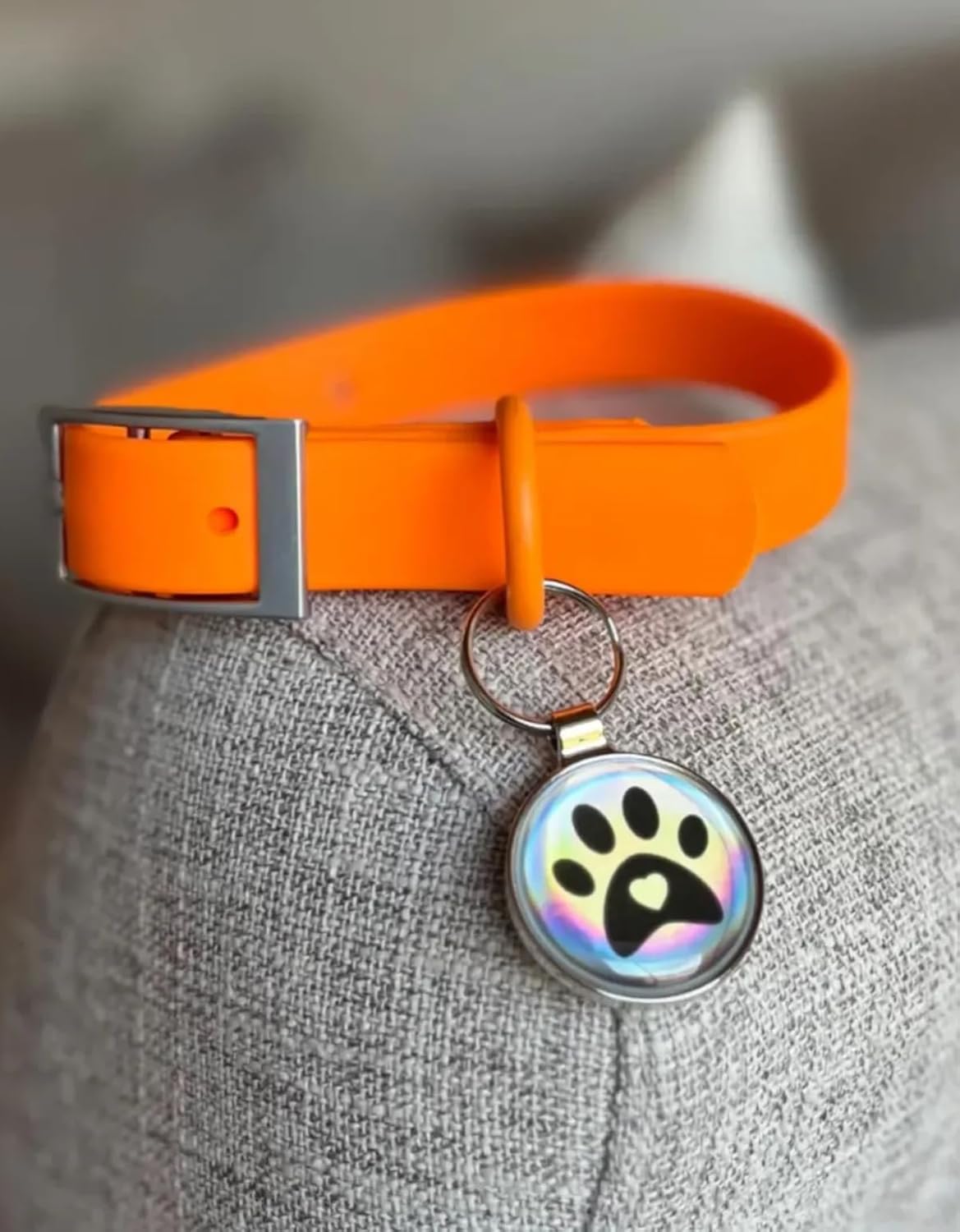 Premium QR Code Pet ID Tags - Receive Instant Scanned Tag Location Email Alert
